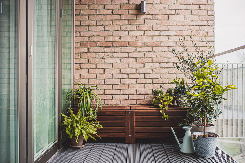 Le piante consigliate per il balcone di casa