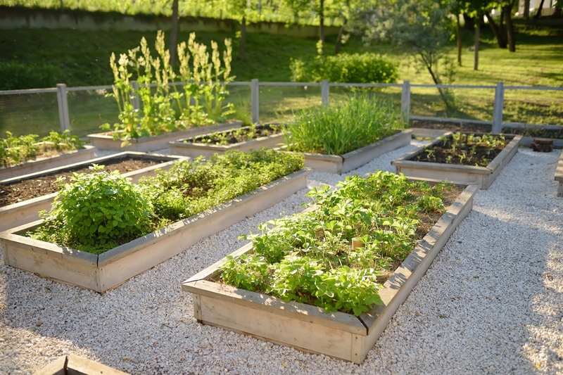 giardino sostenibile tecniche