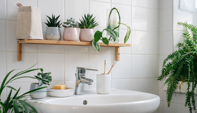 piante profumate per bagno