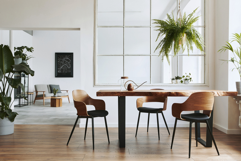 Sedie moderne in sala da pranzo, comodità e design, News