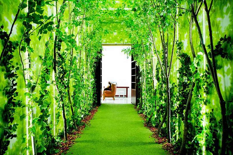 Il tuo giardino diventa un posto speciale grazie a Bonus verde 2020